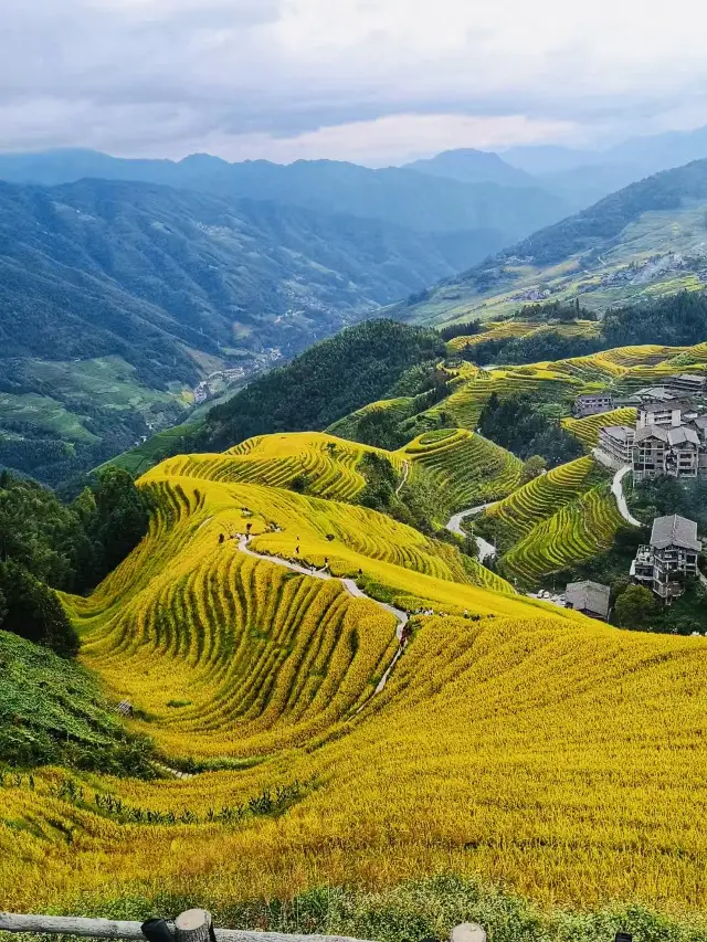 글로벌 가을 추적 | 광림 C 위치 '중국에서 가장 아름다운 시골' - 용골 테라스