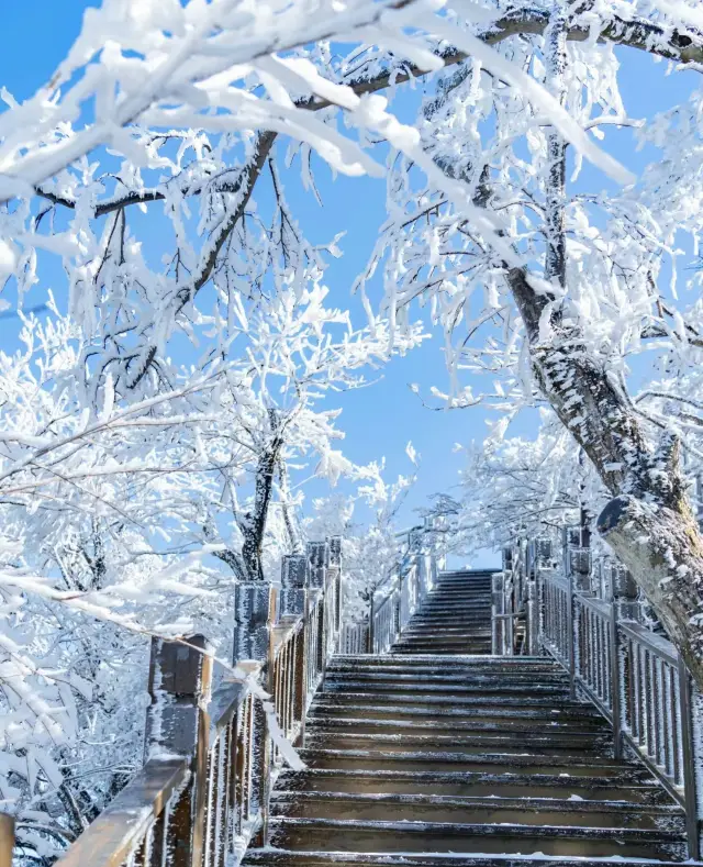 屬於江浙滬寶寶自己的冰雪世界冬天的浪漫與激情！