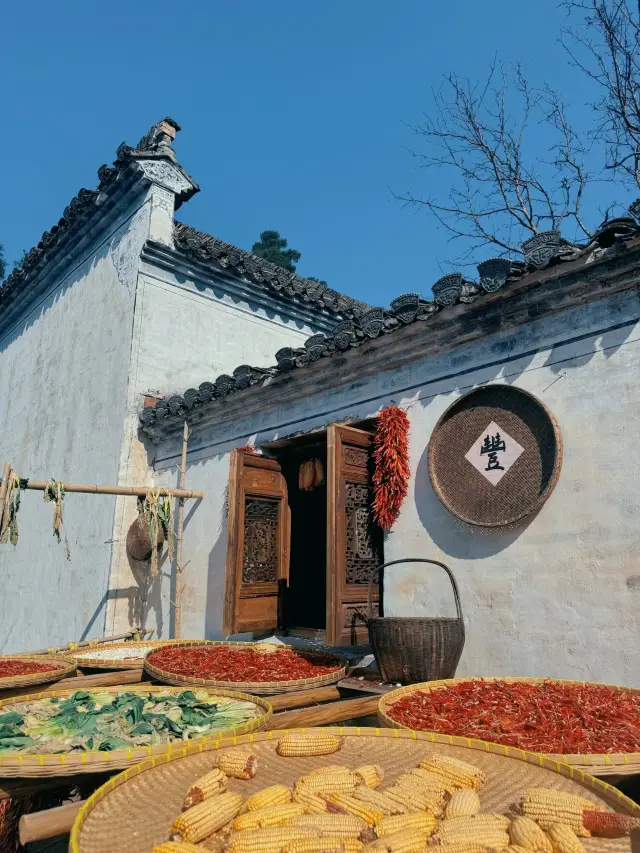 Wuyuan + Jingdezhen three-day tour to tell the truth without stepping on thunder