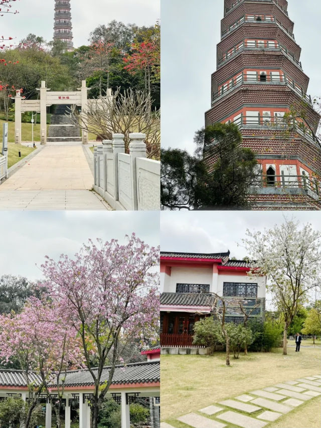 廣州小眾打卡一個冷門又有趣的避世園林