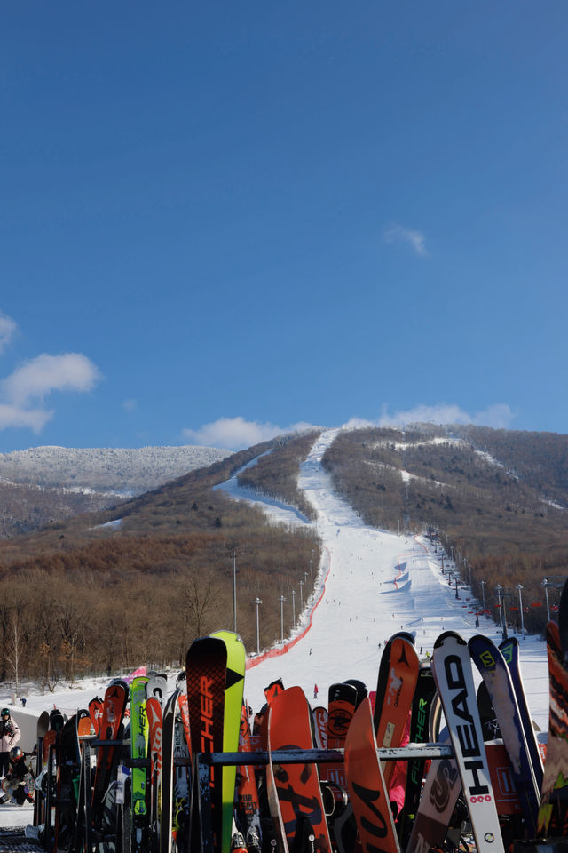 來北大湖絲滑滑雪你需要知道！