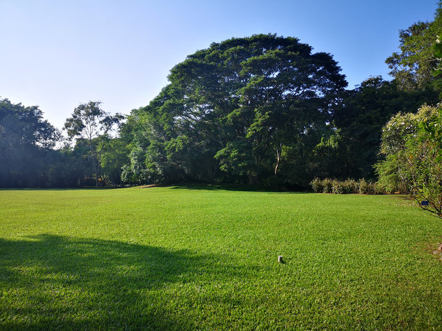 逛公園增長知識，好玩好玩