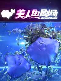 春節去哪兒？一站式體驗海洋世界的快樂