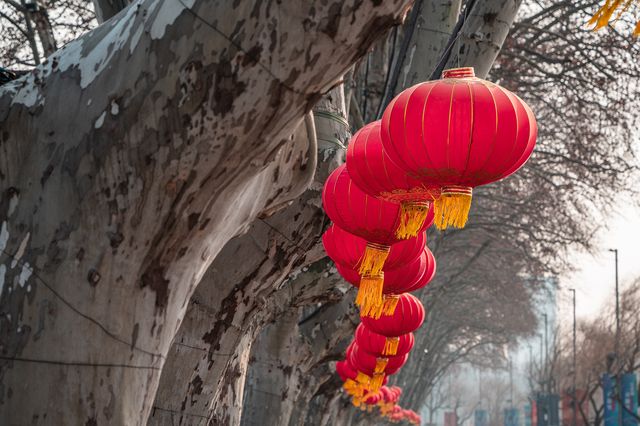 初一南京玄武湖