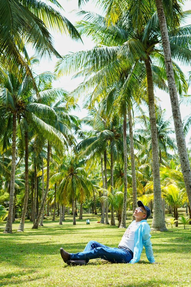 適合家庭、親子、情侶的免費遊玩點：椰子大觀園