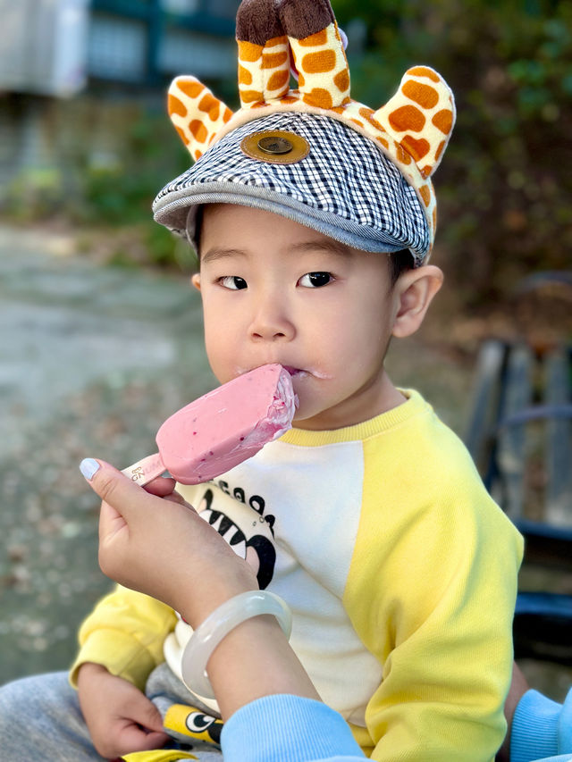 遛娃日記之五刷上海動物園