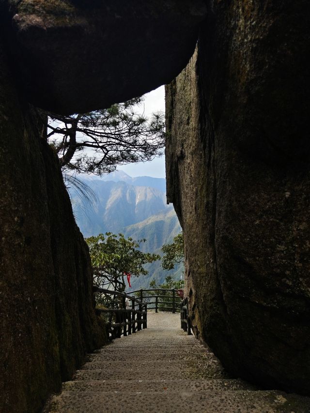 羊獅慕||見山，看山！