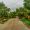 JosephineThompson25