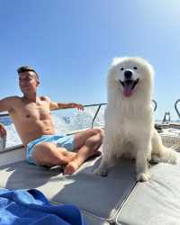 🐻⛵️ Polar Bear on a Boat: A Captivating Adventure in Capri 💛💙