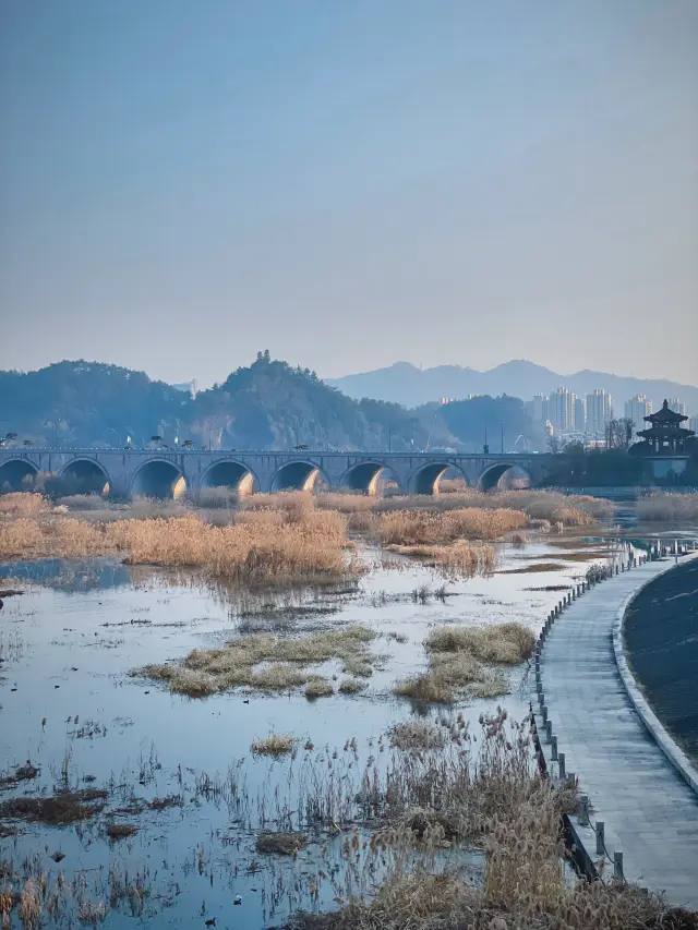 린안 청산호