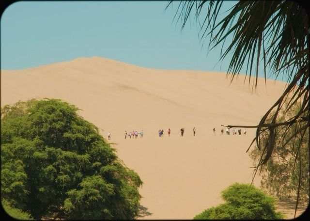 그래요. 동화같은 사막 속 오아시스 마을🏜️