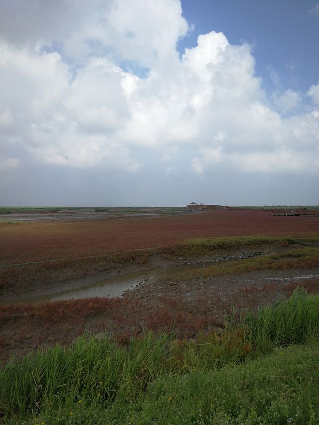 紅海灘國家風景廊道