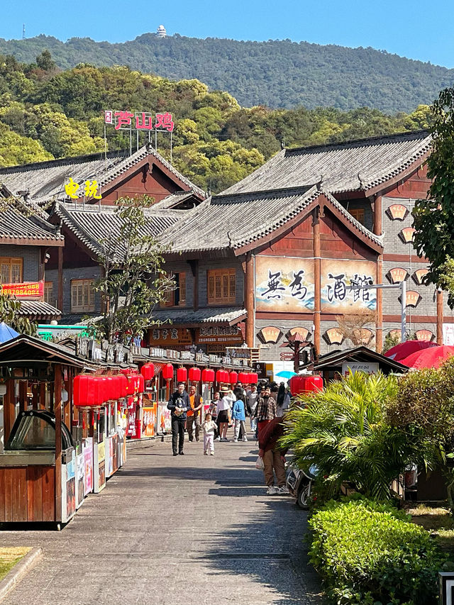 普洱茶馬古城小鎮，到有風的地方去