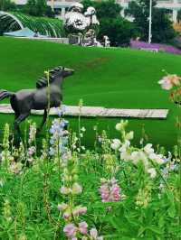 龍巖|紫金山花海公園