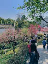 烏山風景區，賞花好去處