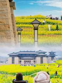 成都最美的博物館！被油菜花包圍的宮殿太震撼了！！