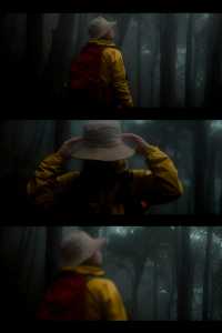 徒步中發現《迷霧森林》  拍出電影感大片