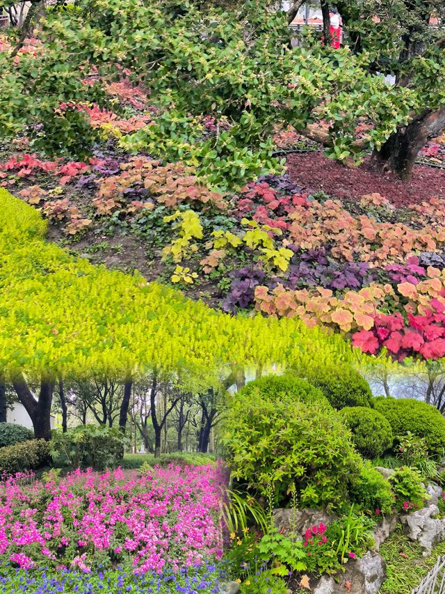 春日賞花好去處閘北公園