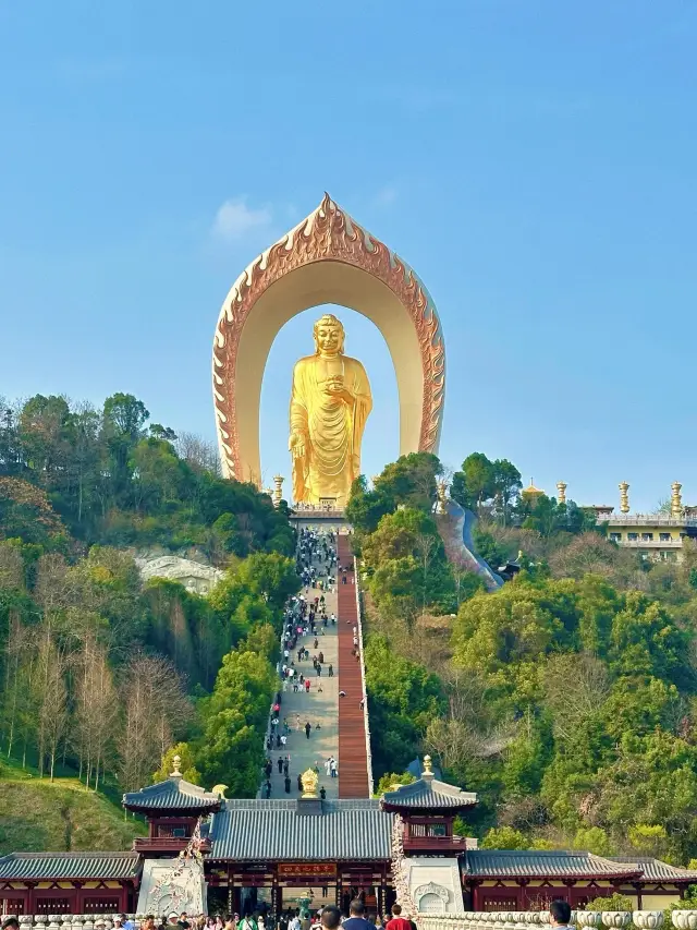 Weekend Special Forces Two-Day Tour | Donglin Grand Buddha & Tianmu Hot Springs