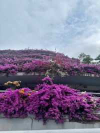 深圳仙湖植物園 | 弘法寺