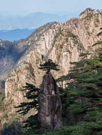 登黃山則天下無山