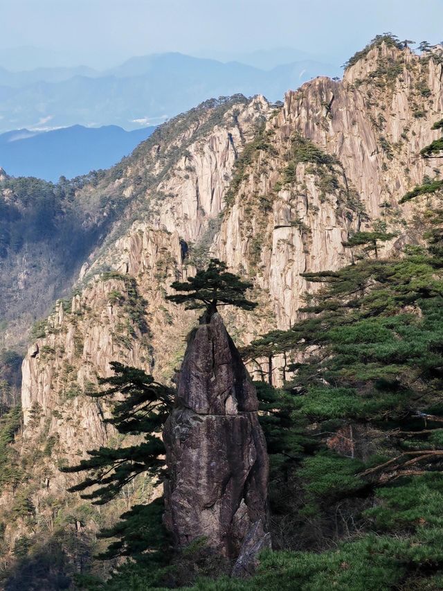 登黃山則天下無山