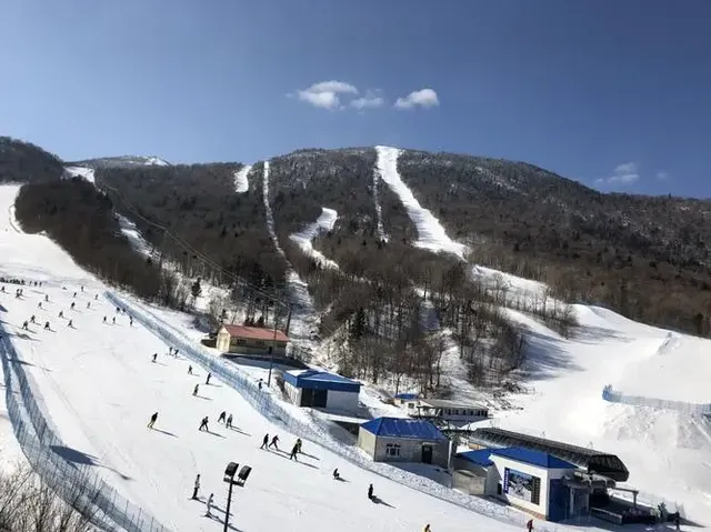 日本之旅：探索美麗的東方國度