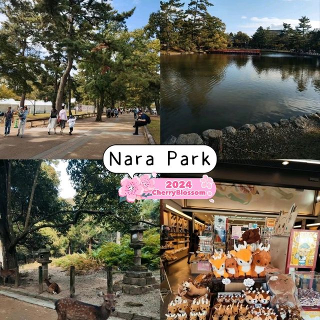 Nara Deer Park in Osaka🦌