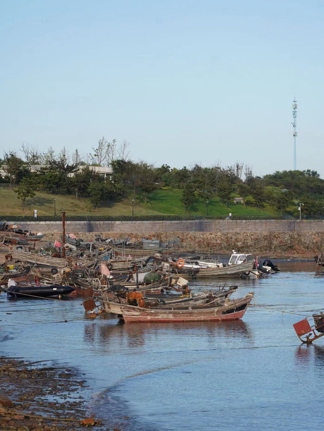 黃島沿海自駕遊，金沙灘這條路線最美啦