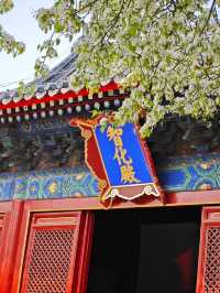北京CityWalk之「梨花」天花板「智化寺」