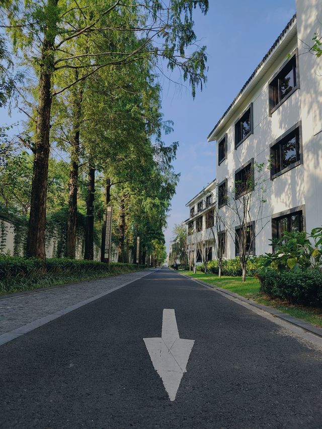 日出夕陽超美 竹林中式格調度假旅館 第二人生旅行家必去