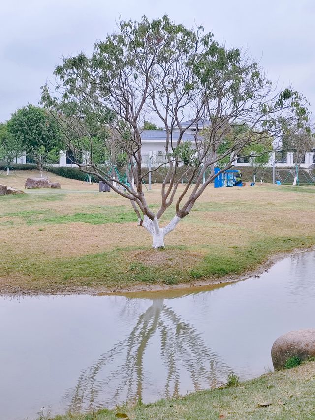 閩侯沙堤市民公園，人少景美超適合野餐露營放空自己