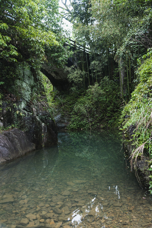 現實版富春山居圖：山野中隱逸，藝術中沉浸