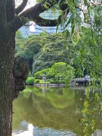 新宿御苑滿眼綠色，極其舒適！