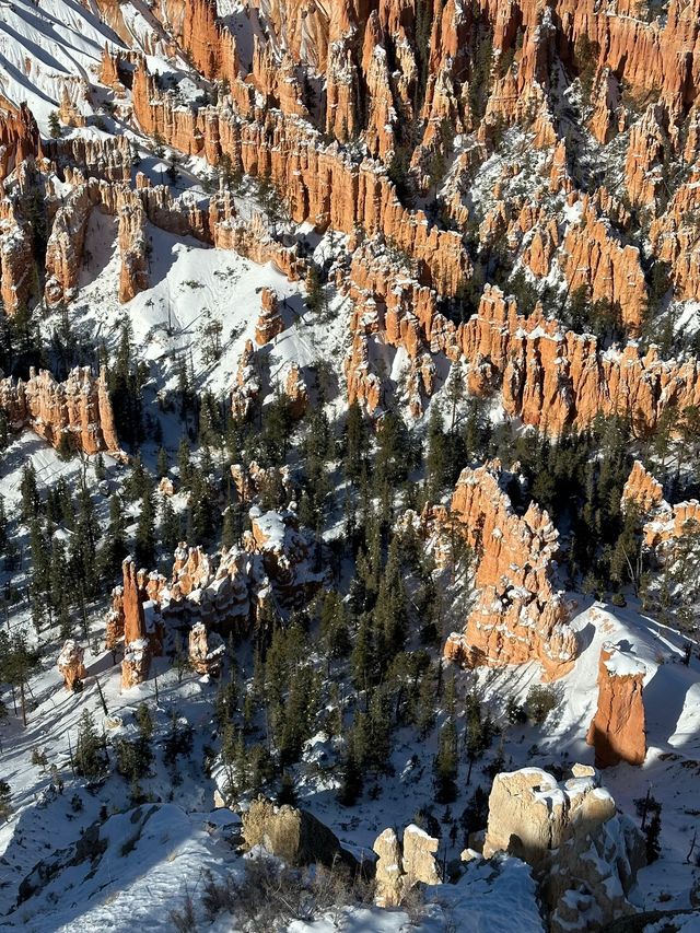 Bryce Amphitheater!!!不可思議的一行萬里路