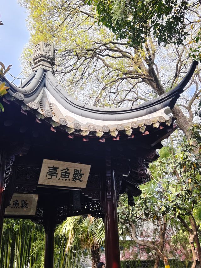 泰州乔園 | 淮左第一園