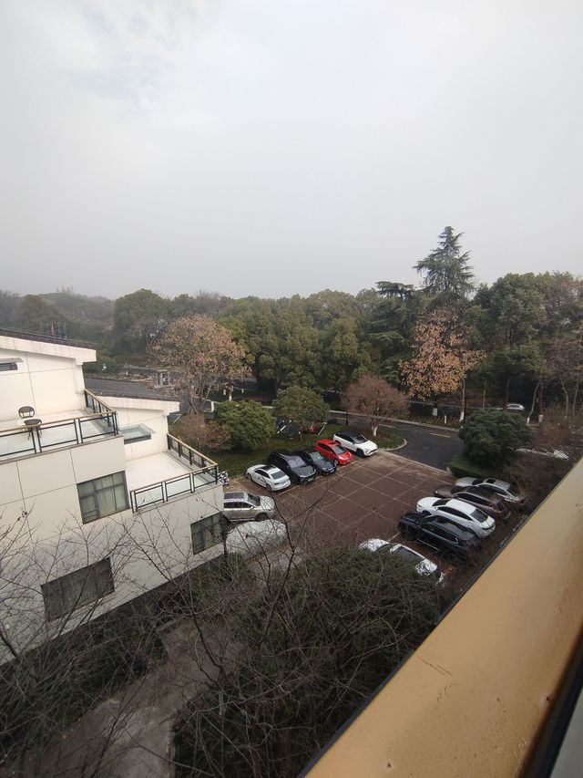 元旦假期浙江賓館超滿意的住宿體驗——