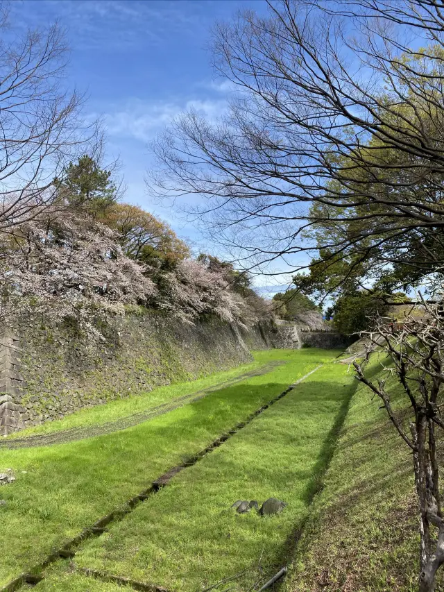 名古屋城外的大津橋