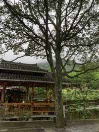 湖南邵陽上堡古國