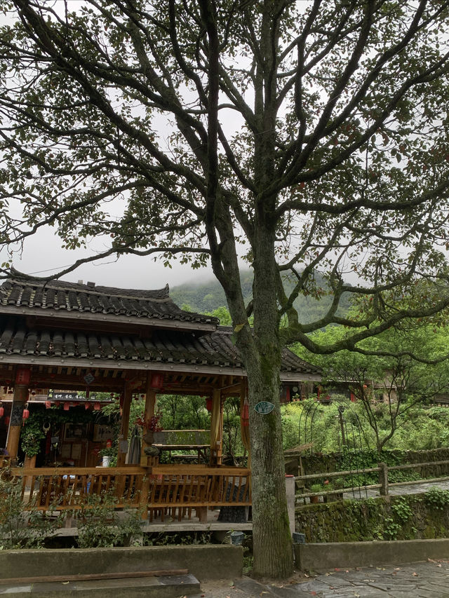 湖南邵陽上堡古國
