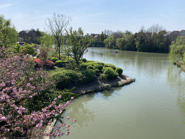 奉浦四季生態園，家門口的免費景點