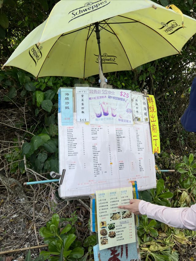 誰還沒有在東平洲看過礁石版的千里江山圖