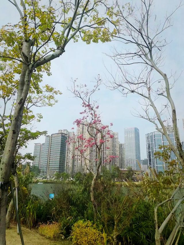 周末踏青賞花，那就來福州這個最大的綜合性公園吧！