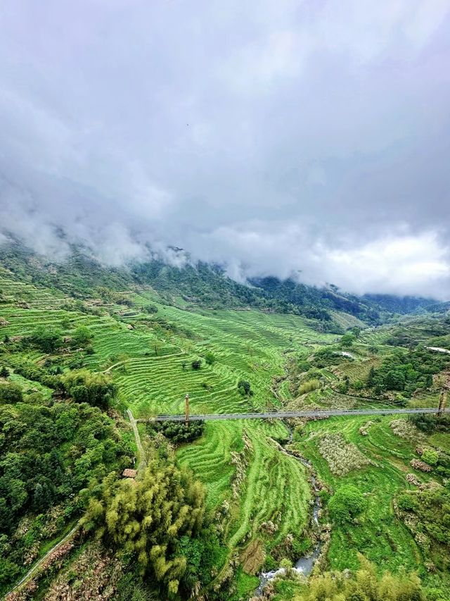 四月份的篁嶺景區