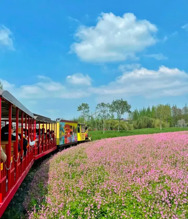 Songfei Chocolate Town | All-you-can-eat chocolate!