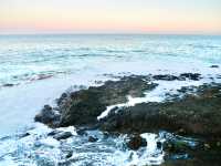 🇳🇿奧塔哥半島｜近距離接觸·企鵝海獅海豹海鳥一次get！