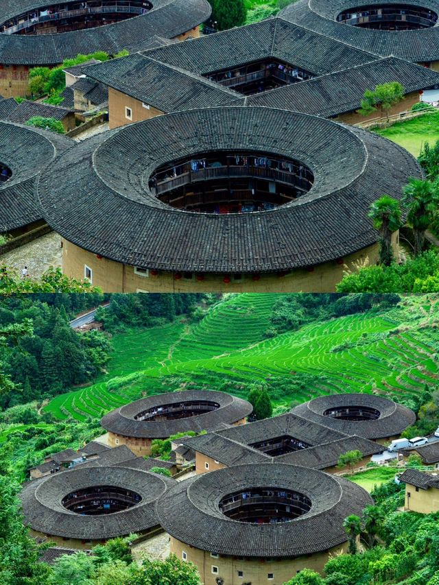 福建土樓,到底怎麼選?(附完整攻略)|Trip.com 南靖縣