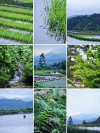 柳州融水 | 3H可達，找個週末去山裡放空