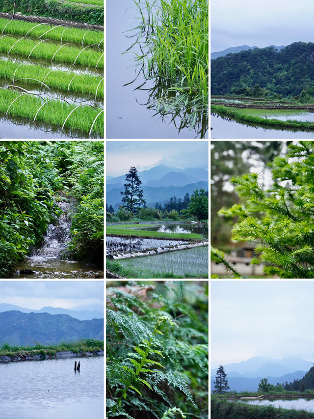柳州融水 | 3H可達，找個週末去山裡放空