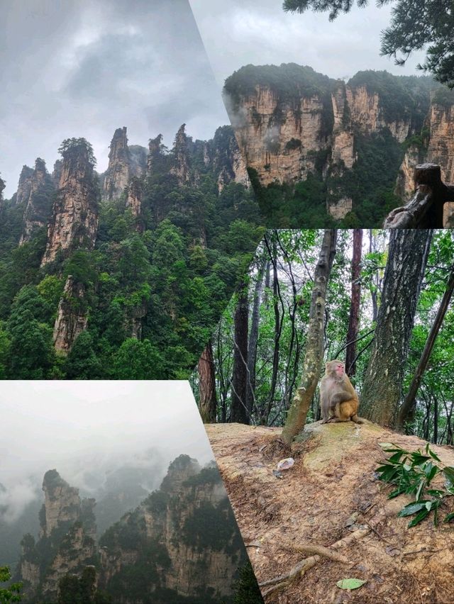 Avatar Mountains Local guide
